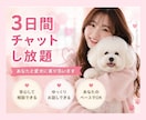 愛犬のお悩みに寄り添い、一緒に考えます どんな小さなお悩みでもお気軽にご相談ください イメージ5