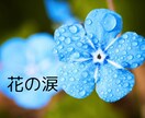 泣きたい時★存分に泣いて✨優しく寄り添います ✨安心の波動の場で✨感情の昇華お手伝いします(*^_^*) イメージ4