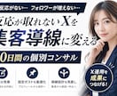 Xを90日間個別コンサルします 初心者OK｜あなたに合った伸びるX運用を一緒に作ります イメージ1