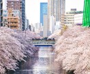 愛媛県ご希望の場所で写真撮影代行します プロのクオリティを格安でご提供します イメージ2