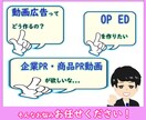 広告動画やアニメーション制作を制作します 個人・企業を問わず、様々なジャンルの動画を制作いたします イメージ2