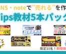 売上ゼロから脱出！SNS戦略5点セットお届けします 初心者が月収30万達成までの全手順を実体験で解説します。 イメージ1