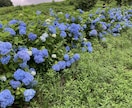療育の経験でサポート。発達・学習の不安を解消します 発達や学習の不安を整理。親子の心にゆとりを生む伴走をします。 イメージ1