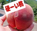 野菜　果物中心売れる文章作成します 50代おはちゃん農家さん向け 売れるメルカリ文章お作りします イメージ8