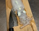 釣りを始めたい方に0から丁寧にアドバイスします 釣りで必要な道具の購入や釣り方を0から丁寧にサポート! イメージ3