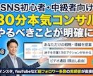 SNS運用初心者中級者に60分本気コンサルします 何から始めていいかわからない人にこの先の道筋を明確に示します イメージ1