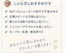 あなたの希望に合わせたNYプランを一緒に考えます 観光・グルメ・営業時間・料金・移動時間まで！ イメージ3