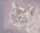 大切なネコちゃんのアートを水彩ペン使って描きます 思い出や性格のカラーを背景に反映させます♡デジタルアート！ イメージ3