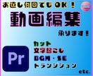動画編集いたします 細かくご要望確認！お直し何回でもOK！ご相談だけでも！！ イメージ1