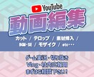 動画編集承ります 納期相談、イラスト挿入、柔軟に対応できます！ イメージ1