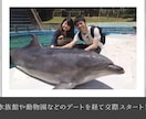 韓国風！思い出写真たっぷりで動画を作成します 二人の思い出を大切に振り返ることのできる感動的なムービー イメージ6