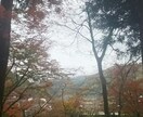 日本一の紅葉香嵐渓のお写真提供します イメージ1