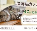 バナー広告・YouTubeサムネイル制作承ります 【最短納期1週間～】SNS向け広告などの作成 イメージ3