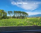 あなたの✴ミカタ✴になります あなたのミカタがとことん話を聞きます イメージ1