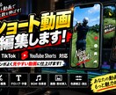 YouTube・ショート動画を編集します カット・テロップ・BGMまで丁寧に対応 イメージ5