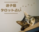 いなくなった猫ちゃんの居場所や様子を占います 【経験者が鑑定】脱走した愛猫の現状をタロットで占います イメージ1