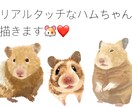 ハムスターの似顔絵描きます リアルタッチでふわふわ感が伝わるように仕上げますよ イメージ1