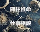 仕事特化・四柱推命解析であなたの才能を最大化します お仕事ややりたいことのお悩み相談 イメージ1