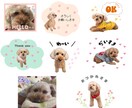 お気に入りのお写真でLINEスタンプ作成します 写真を送るだけ！世界に1つだけのLINEスタンプができます♡ イメージ7