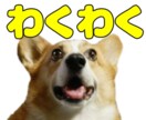 写真でLINEスタンプ、40個3000円で作ります 【最低価格】何個発注いただいても、3000円だけ！ イメージ4