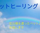 ペットと会話致します 虹の橋を渡り、亡くなったペットとお話します。 イメージ1