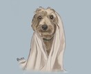 写真から犬・猫・小動物の似顔絵を描きます やさしい手描きタッチで、SNSアイコン・記念におすすめ イメージ5