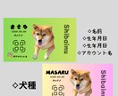 可愛い犬用名刺作ります うちの子名刺、犬用名刺、ペット名刺 イメージ5