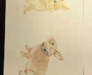 愛するペットのイラストを描きます いただいたペットの写真を基に色鉛筆にてイラストを描きます。 イメージ10