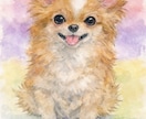 大切な家族水彩風に描きます 「うちの子らしさ」を大切に、一枚一枚心を込めて制作いたします イメージ1