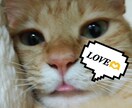 Twitchなどで使えるスタンプ・GIF作ります 1つ250円でTwitchなどで使えるスタンプ・GIF制作 イメージ2