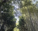 誰にも言えないお悩み。じっくりお話しお聞きします 家族や友達には相談できない、でも話を聞いて欲しい！ イメージ1