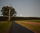 あなたのご希望の写真、動画ご用意いたします 欲しい写真がすぐ届く、そしてあなたの不安も0です！ イメージ1