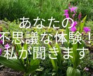 遭遇した不思議な体験！私がお話し聞きます 身近に信じてもらえない体験お聞きします イメージ1