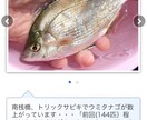 東京湾、横浜、護岸、海釣り公園　秘密釣り方教えます なんでこんなに釣れるの？GOGOフッシング イメージ5