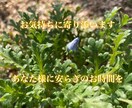 お気持ちお聞かせください。お待ちしております ◎なんとなく誰がと繋がりたい時ってありますよね。 イメージ1