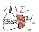 歯科に関する広告やポスターを作ります 大まかなテーマであとはお任せという方用 イメージ1