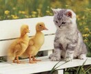 少し話したい時、一緒にお話しします 恋愛/悩み/こんなことがあった！など♪ イメージ4