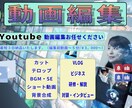 YouTube動画編集をします お急ぎの方、最短3日納品いたします！ イメージ11