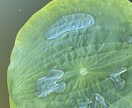 心の共有します 助けてって言って大丈夫です世界には大好きが溢れています。 イメージ1