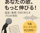 音楽専門学校講師が本気で歌フィードバックします 300人以上の指導経験からあなたの歌、見つけます！ イメージ1