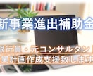 新事業進出補助金の事業計画を作成支援致します ～元銀行員・元コンサルが事業計画の作成支援を致します～ イメージ1