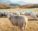 写真編集させて頂きます 明るくて優しい雰囲気の写真✳︎インスタ映え写真 イメージ9