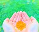 生きるって大変だよね。大丈夫。優しく受け止めます HSP、繊細さんなあなたに共感します。否定は一切なし.｡*☆ イメージ5