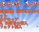 現役動画投稿者が動画作成します 現役動画投稿者があなたの動画を編集します。 イメージ2