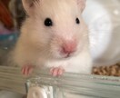 愚痴でも話したいことやどんな話も聞きます 30分無制限チャットで気軽にお話ししましょう☆ イメージ3