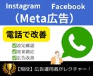 電話で即解決！Meta広告の改善いたします Instagram/Facebook広告のお悩み解決 イメージ1