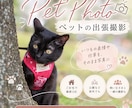 大切な家族の写真を出張撮影しますます いつもの表情や仕草を自然な雰囲気で写真に残します イメージ1