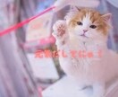 1週間、あなたの心に寄り添いお話相手になります 雑談からお悩みまで、まったりとLINE感覚でお話しませんか☆ イメージ2