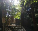 神様カードから人生を豊かに生きるメッセージ頂きます 人生を楽しく生きる秘訣を一緒に考えていきましょう。 イメージ9