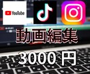 YouTubeやTikTokなどの動画編集をします ショート動画とロング動画のどちらも3000円でやります イメージ1